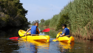 canoe and kayak excursion in the Ciane river and Anapo river